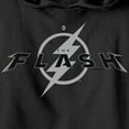 thumbnail image 2 of Boy's The Flash Black Official Logo  Pull Over Hoodie Black Small, 2 of 4