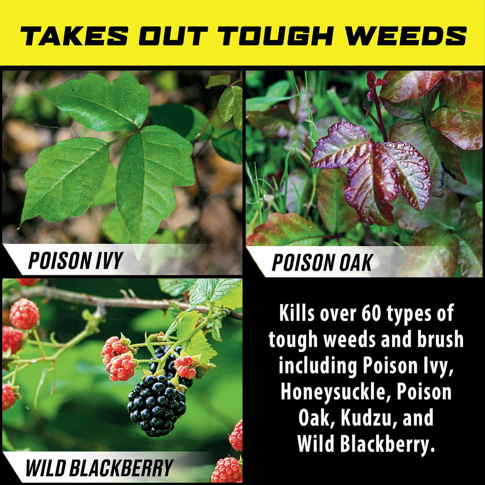 Ortho GroundClear Poison Ivy & Tough Brush Killer1 Concentrate, 32 fl oz