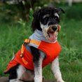 thumbnail image 3 of Lucoss Winter Dog Coat with integrated harness No Pull Cold Weather Waterproof Warm Fleece Back Zipper for Small & Medium Dog, 3 of 5