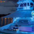 thumbnail image 2 of Spencer 12Pcs Marine Boat Interior Lights, 12V Waterproof Boat Navigation Lights for Cockpit Courtesy Navigation Boat Bow Stern Step Decorate Light, 2 of 8