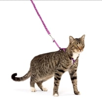 PetSafe Come With Me Kitty Harness and Bungee Leash