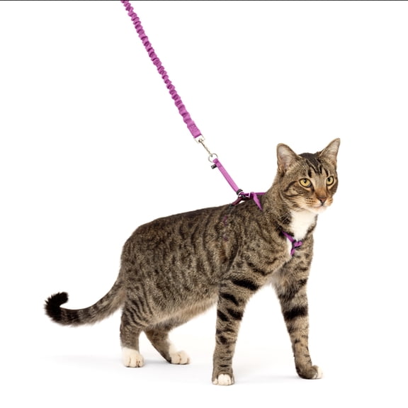 PetSafe Come With Me Kitty Harness and Bungee Leash