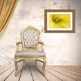 thumbnail image 3 of Rotenberg, Nancy 32x23 Gold Ornate Wood Framed with Double Matting Museum Art Print Titled - Shield Bug in Lily, 3 of 4