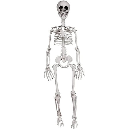 36  Skeleton Halloween Decorations  3FT Posable Halloween Skeleton Decor for Front Lawn or Haunted House  Party Centerpiece  Trunk or Treat  Lifelike Skeleton Model