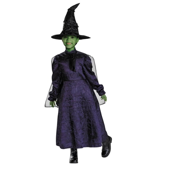Kids Adaptive Wicked Elphaba Dress Costume - Small 4-6