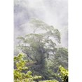 thumbnail image 1 of Posterazzi DPI1867001 Brume sur une République de Forêt Tropicale de Costa Rica Affiche Imprimée, 12 x 19, 1 of 1