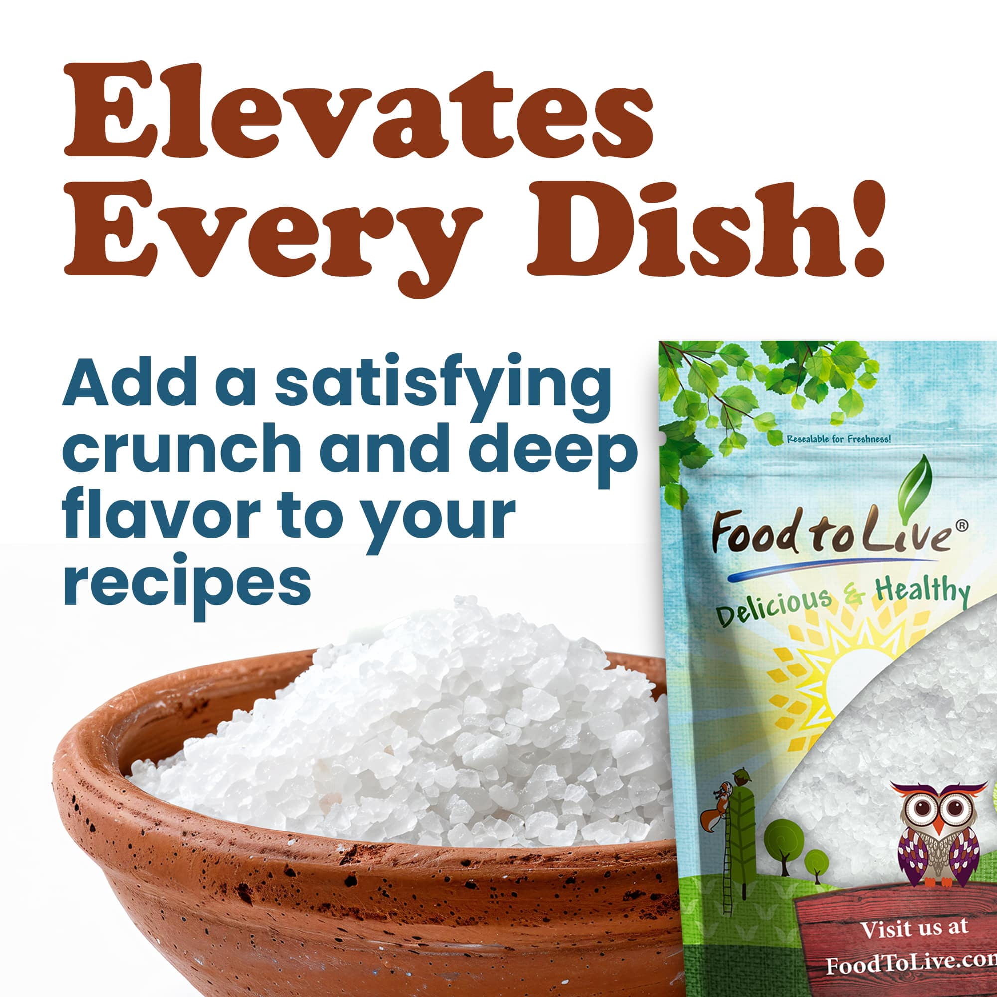 Coarse Mediterranean Sea Salt, 12 Pounds — Kosher, Raw, Vegan — by Food to Live