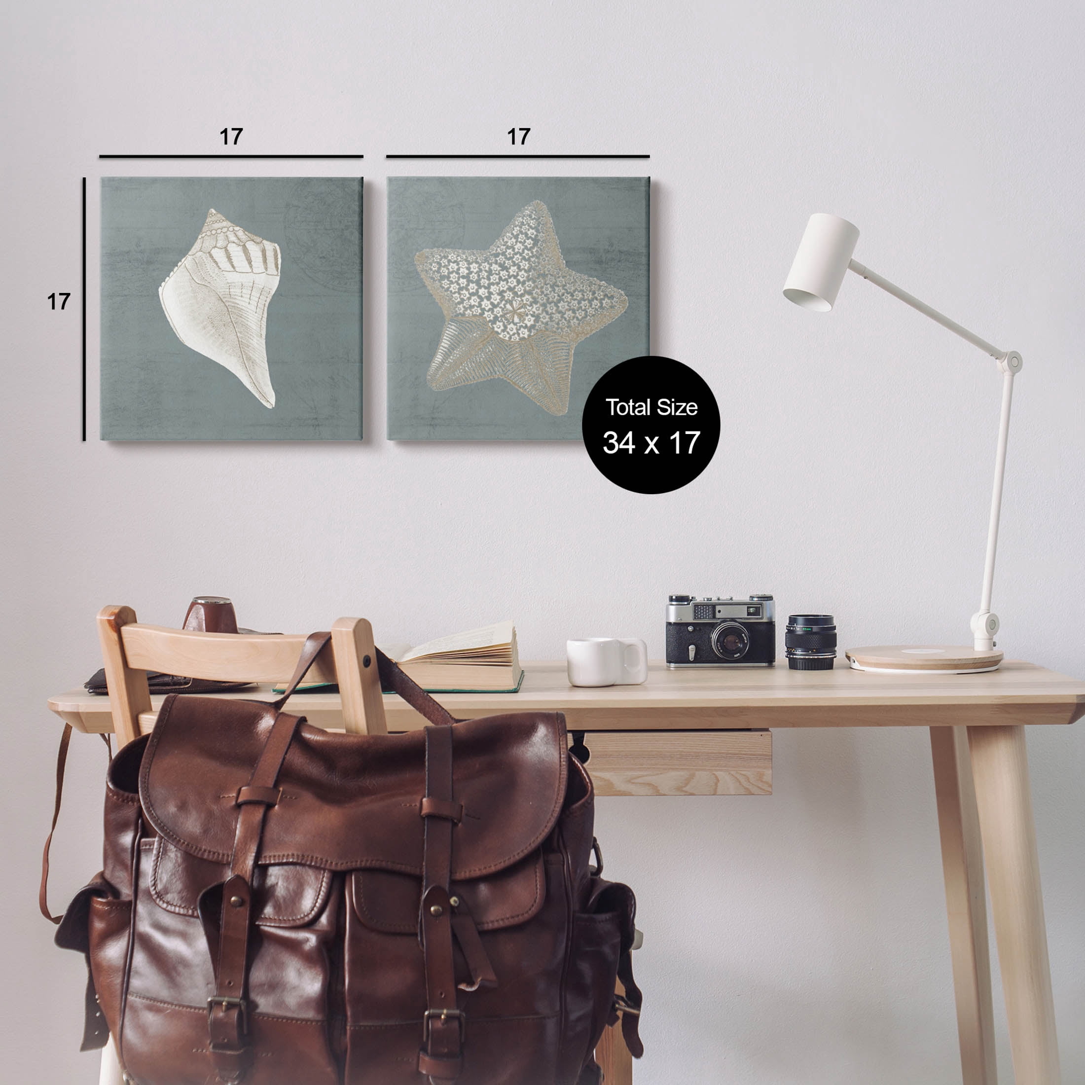 Sea Life Conch Starfish Nautical Animals & Insects Graphic Art Gallery Wrapped Canvas Print Wall Art, Set of 2