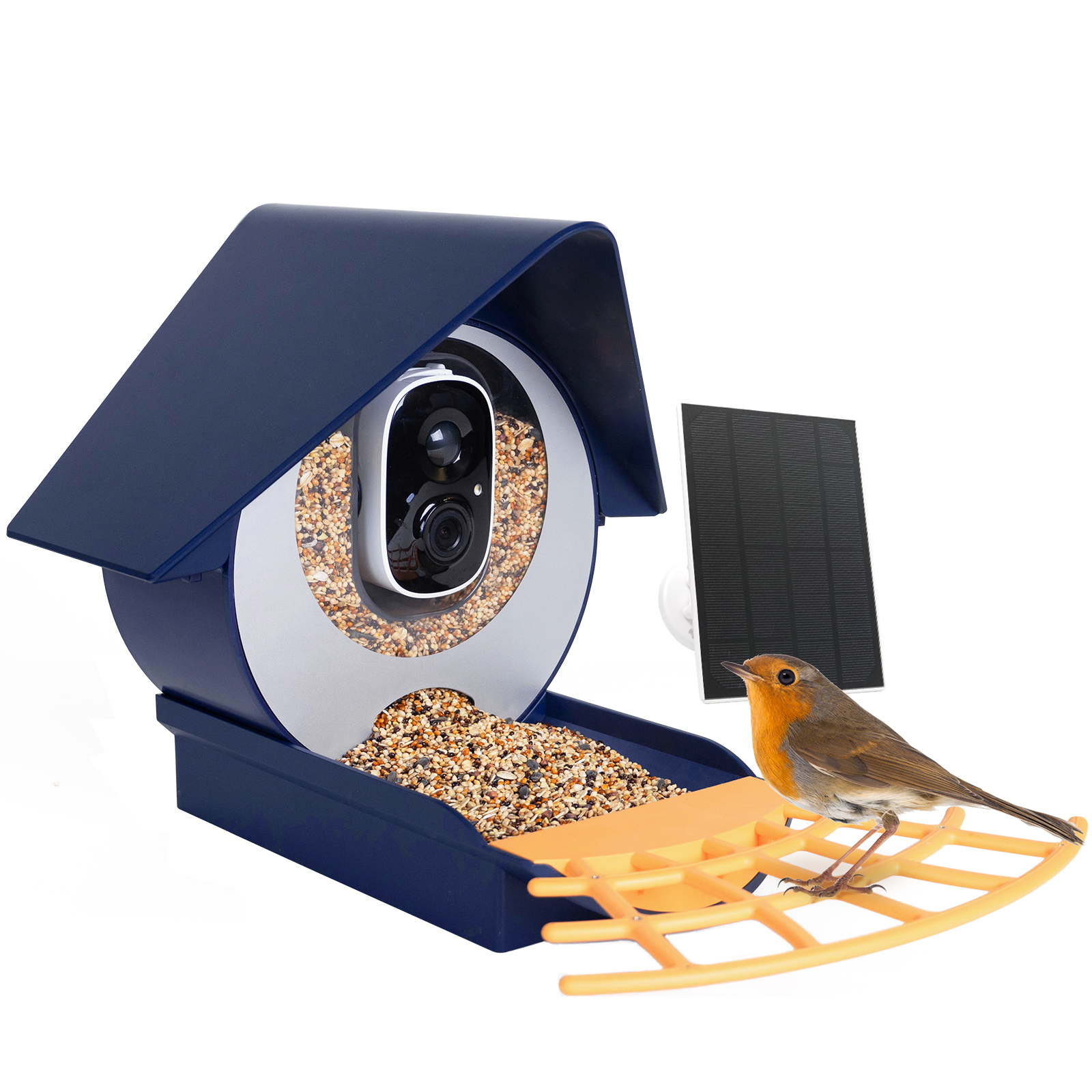 Birdkiss AI Bird Feeder Camera with Capture 1080P HD Images/videos, App