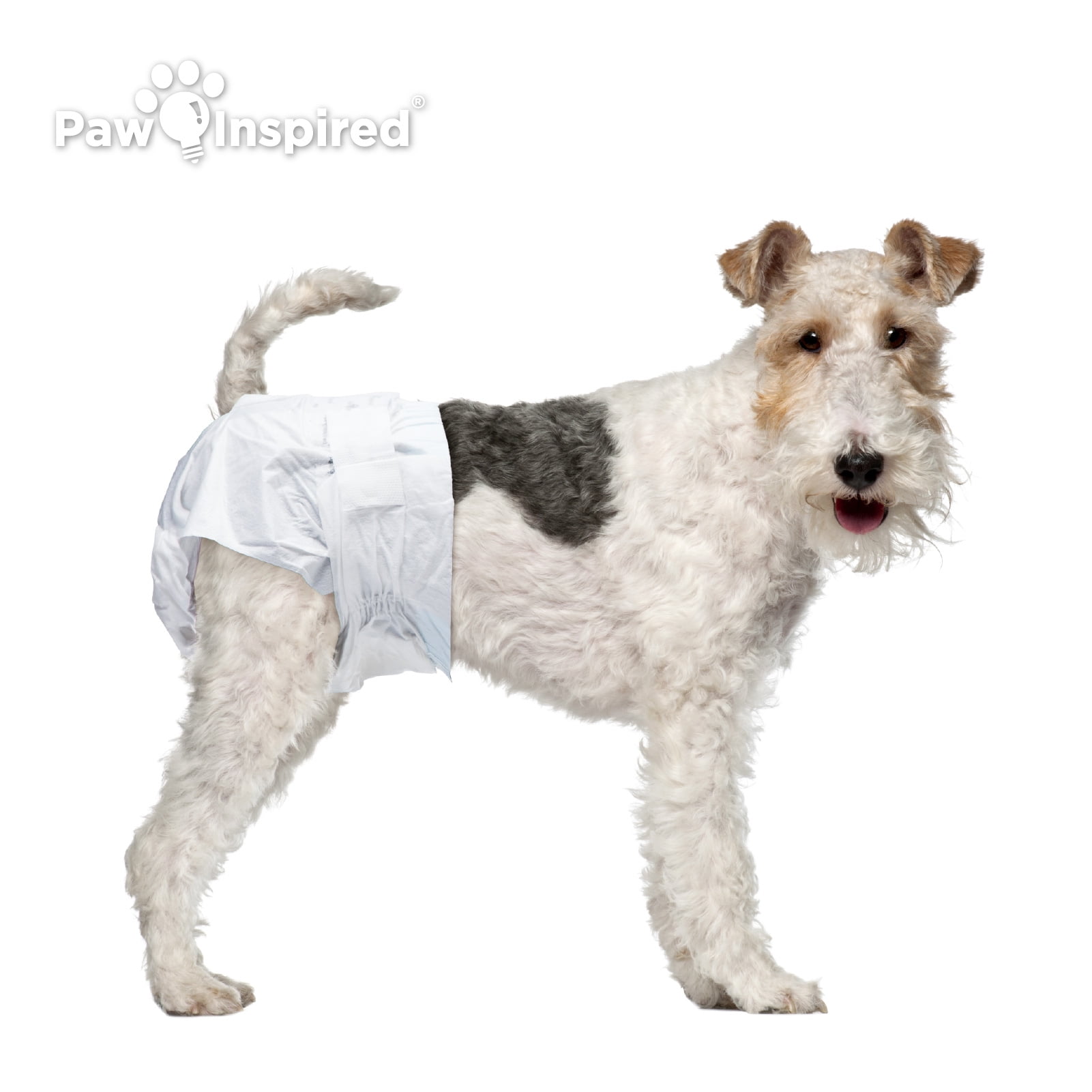 Dog diapers female incontinence deals