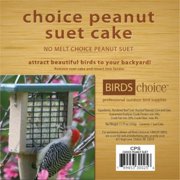 Birds Choice CPS12 Choice Peanut Suet Cakes Case of 12