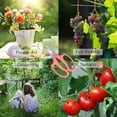 thumbnail image 2 of Garden Scissors, Pink Floral Shears, Flower Scissors , Garden Pruning Shears with Comfortable Handles, Garden Clippers, 2 of 5