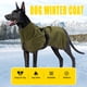 thumbnail image 2 of Abrigo de invierno para perro Chaqueta polar cálida reflectante impermeable para perro Eccomum Ejercito verde,Medio, 2 of 7