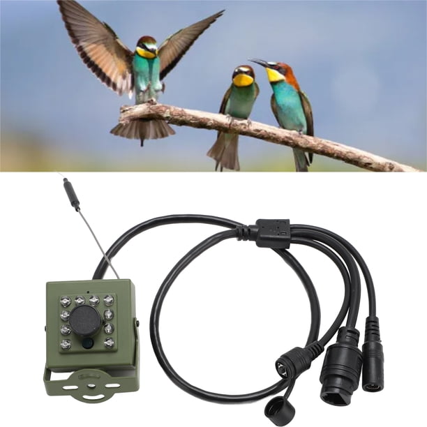 Cámara de Seguridad para interiores y Exteriores, Cámara Tipo Caja para Pájaros Con Visón Nocturna, Cámara Wifi Para Exteriores Con Lente Parapero