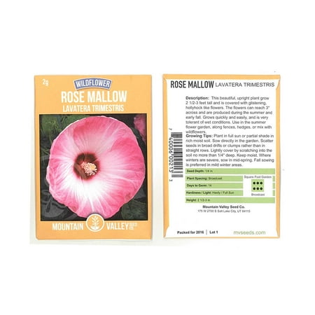 Ever Blooming Flower Garden Rose Mallow Wildflower Seeds - 2 Gram Seed Packet - Annual Shrub with Rose Pink Blooms - Flower Garden - Lavatera trimestris ()