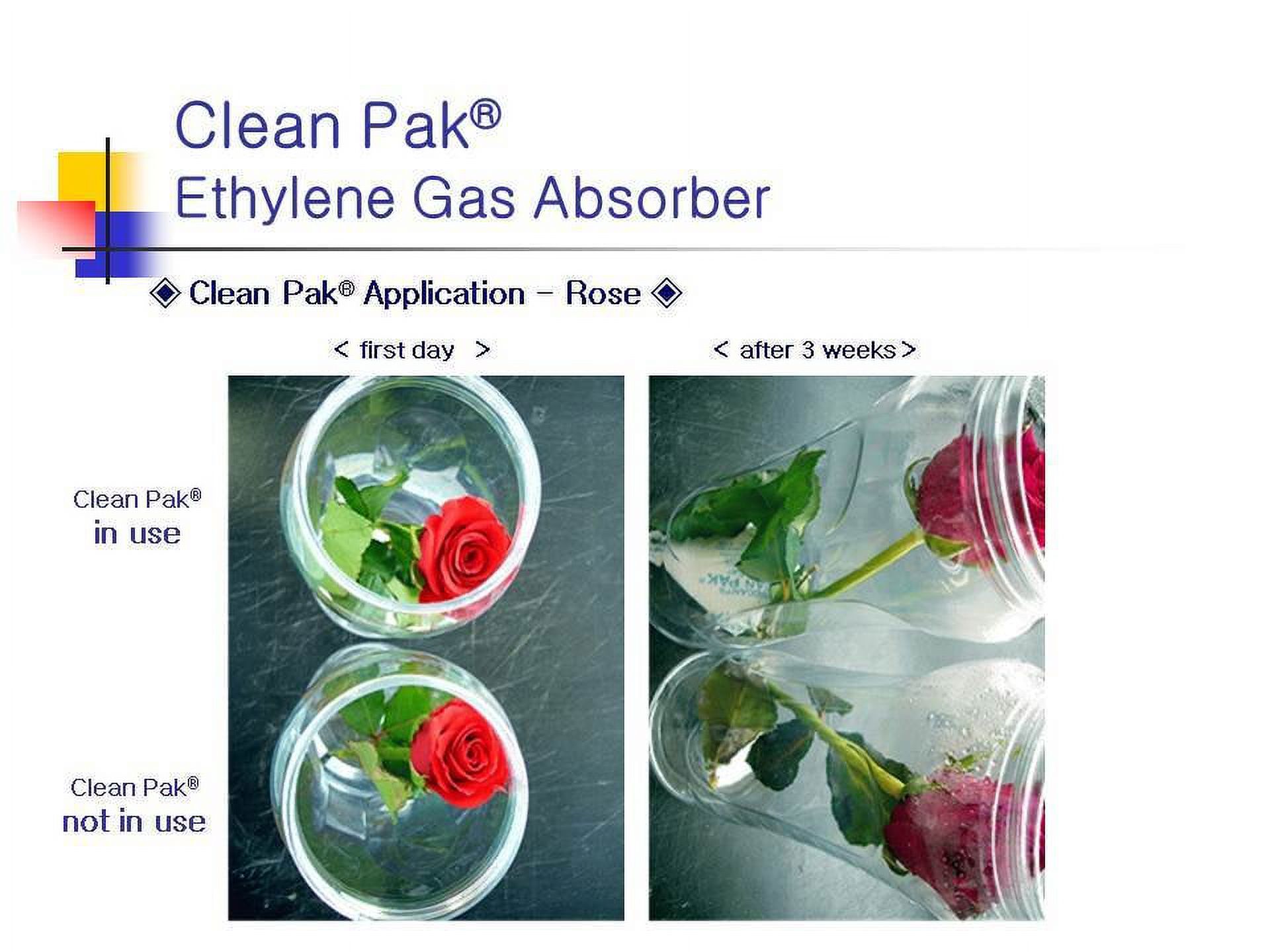 Fresh & Fresh 5 Gram (30 Pack) Premium Ethylene Gas Absorber – Easy to and  Ready to use packets(Extends Freshness of Fruits, Vegetables, and Flowers)