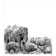 thumbnail image 3 of Animal Duvet Cover Set, Image of Wild Savannah Animals Vintage Style Print Monochromatic Details Print, Decorative 3 Piece Bedding Set with 2 Pillow Shams, King Size, White and Black, by Ambesonne, 3 of 3