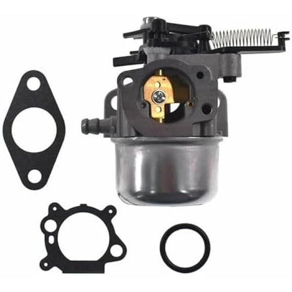 Carburetor for Briggs & Stratton (replaces 216693) | replaces 216693; durable alloy; directfit; smooth response; includes gasket set; stable idle; easy cold start; includes gaskets