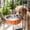 Orange, variant on NWOKYZGH 1Pc Crate Bowl, Removable Stainless Steel Hanging Pet Kennel Cage Bowl Food & Water Feeder Coop Cup for Puppy,,, Guinea Pigs Ferret Bird