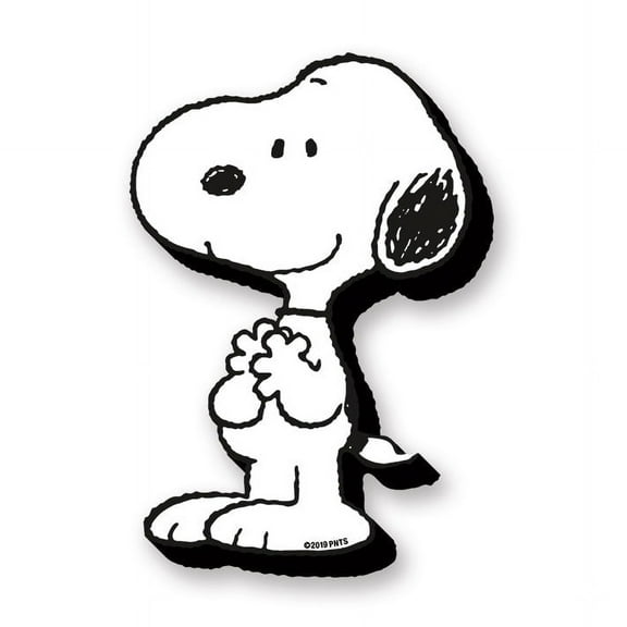 Peanuts Snoopy Funky Chunky Magnet