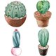 thumbnail image 1 of Calcomanías estáticas de 6.3 pulgadas con diseño de cactus del desierto para ventanas, puertas corredizas de vidrio, vinilo impermeable, para dormitorio y baño., 1 of 9