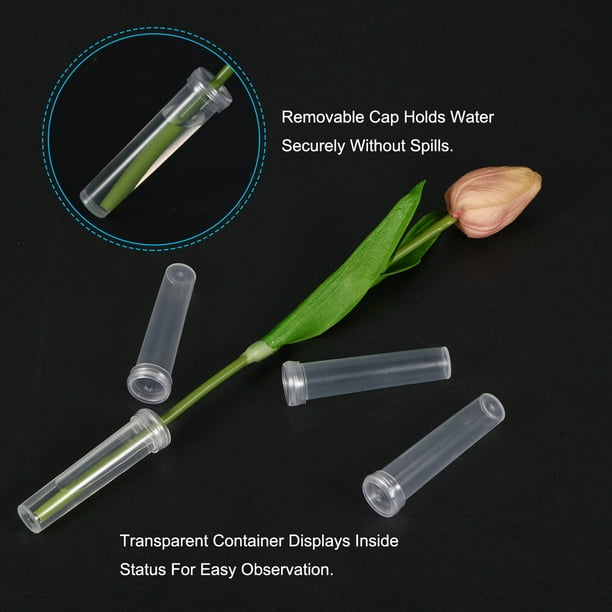 Tube plastique pour fleurs