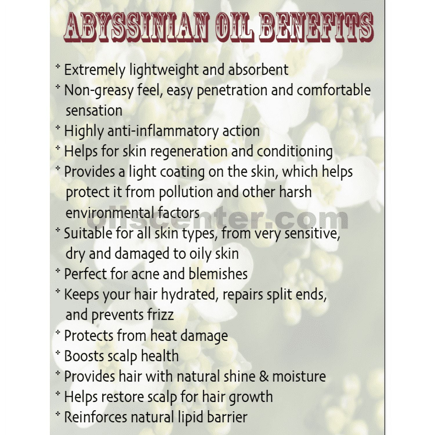 Abyssinian / Crambe Seed Oil Organic Carrier Cold Pressed Fresh 100% Pure 16 oz