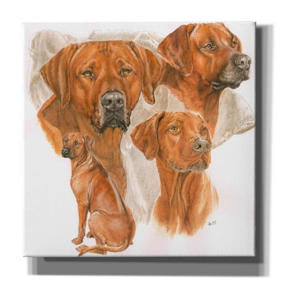 Epic Graffiti 'Rhodisian Ridgeback' by Barbara Keith, Canvas Wall Art, 18"x18"