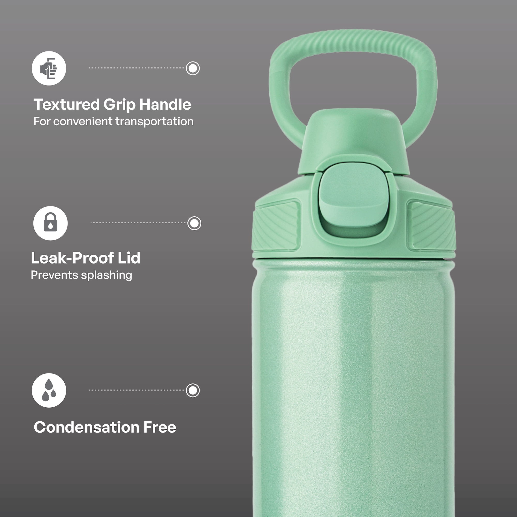 TAL 28oz Stainless Steel Ranger Push Lock Lid Water Bottle, Green Shimmer