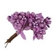 thumbnail image 1 of VONKY Plastic Flower Heads Handmade DIY artificial Simulation Bouquet Stamen for Wedding Gift Decoration 8Pcs Type 4, 1 of 7