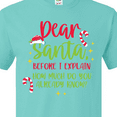 thumbnail image 4 of Inktastic Christmas Dear, Santa Before I Explain How Much Do You Know? T-Shirt, 4 of 5