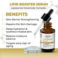 thumbnail image 4 of Lipid Booster Face Serum 30 ml | All Skin type, 4 of 6