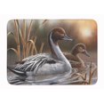 thumbnail image 1 of Tapis de Mousse à Mémoire Lavable en Machine Pintails, 1 of 1