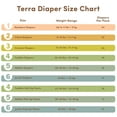 thumbnail image 4 of Terra Diapers Size 1 Newborn - 24 Pack, 4 of 7