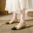 thumbnail image 2 of French Pointed Toe Stiletto High Heels for Women, 2 of 9