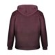 thumbnail image 5 of Sudadera con capucha para hombre, estilo casual, con cuello redondo, estampado, manga larga, blusa de poliéster, 5 of 6