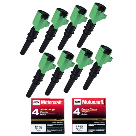 Set of 8 ISA Professional Ignition Coil and 8 Motorcraft Spark Plugs Compatible with 2009 2010 Ford Explorer Mercury Mountaineer F-150 SOHC 4.6L V8 FD503 SP509