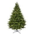 thumbnail image 1 of Vickerman 5.5' x 45" Douglas Fir Artificial Christmas Tree, Warm White Dura-lit LED Lights, 1 of 2