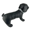 thumbnail image 6 of Vibrant Life Medium Dog Collar, Grey, 6 of 6