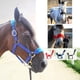 thumbnail image 4 of Cabezada acolchada para poni y caballo cob, con riendas ajustables. Azul l, 4 of 5