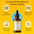 thumbnail image 2 of Nuvamin - Liquid Liposomal Vitamin A & D Drops for Toddlers Kids & Adult, 800 IU/mL, 2 Fl.Oz (60ml), 120 Daily Serving, Great Taste - All Natural - High Absorption, Lemon Flavor, 2 of 7