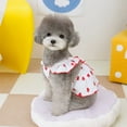 thumbnail image 5 of FAMTKT Dog Clothes for Small Dogs, Puppy Dress for Girl Dogs, Small Floral Princess Dress Pet Cute Dress Summer Thin Ultrasmall Clothes Strawberry Print Pet Skirt Clothes Sundress Costume Clothes, 5 of 6