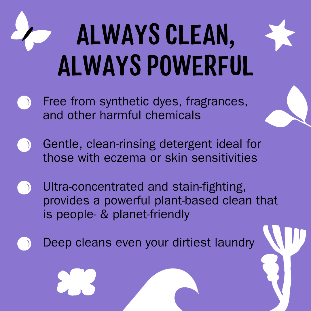 Molly's Suds Liquid Laundry Detergent | Natural Laundry Detergent Soap for Sensitive Skin | 2x Concentrated, High Efficiency (HE) | Lavender - 100 Loads