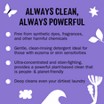 thumbnail image 2 of Molly's Suds Liquid Laundry Detergent | Natural Laundry Detergent Soap for Sensitive Skin | 2x Concentrated, High Efficiency (HE) | Lavender - 100 Loads, 2 of 7