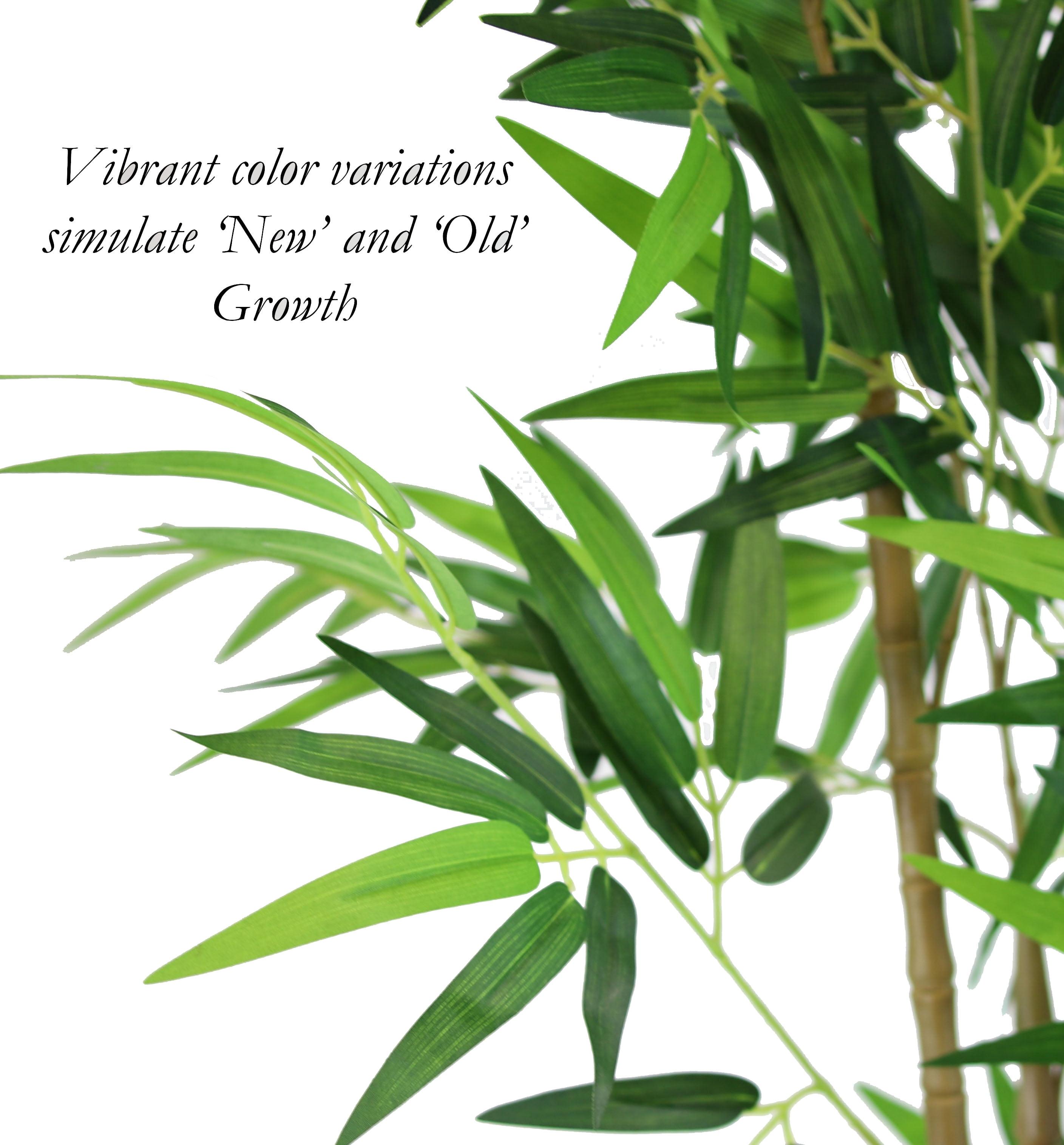 The Mod Greenhouse 60" Artificial Real Touch Green Bamboo Tree in a Matte Black Grower's Pot