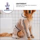 thumbnail image 3 of AURARMLET 1Pc Transparent Waterproof Dog Raincoat with Hood Lightweight Comfortable Pet Coat, 3 of 8