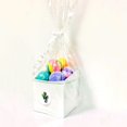 thumbnail image 1 of Bieau Viva, 6 Bath bomb gift box, 1 of 1