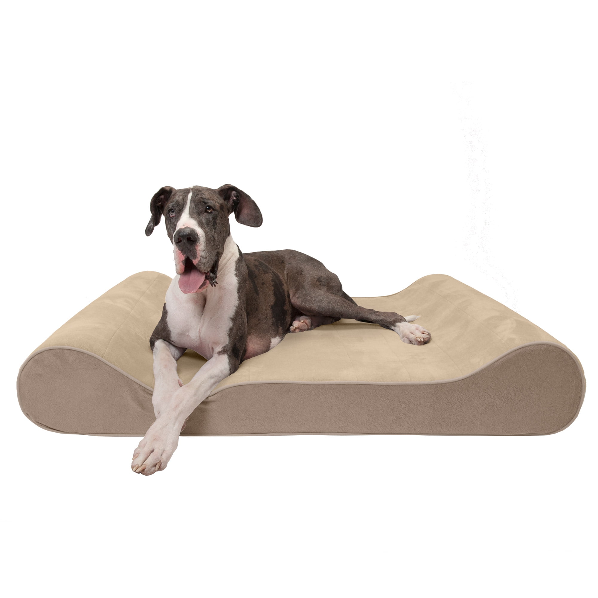 giant dog bed