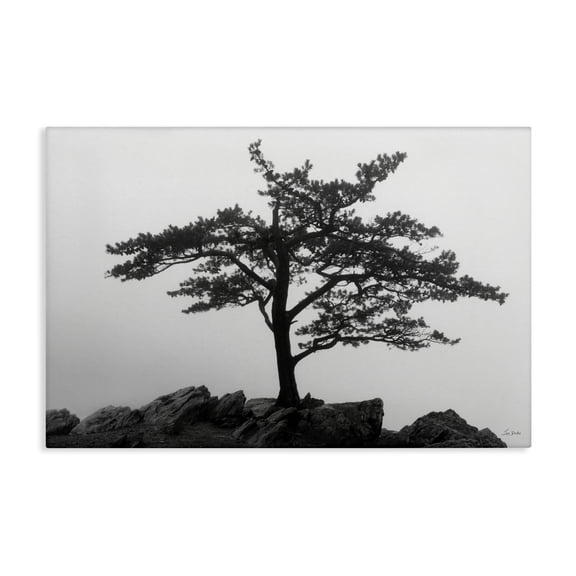 Stupell Industries Lone Tree on Rocks Landscape & Nature Photography Wrapped Canvas Art Print Wall Art, 24 x 16