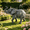 Grey + Resin + Art Deco Elephant, variant on FENGFAN 20.08 Inch Trunk Up Resin Elephant Statue All Weather Weather Resistant Outdoor Yard Lawn Patio Garden Lucky Decor 1 Pack
